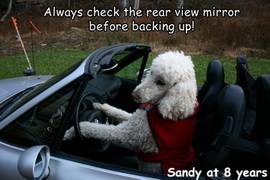 Sandy Parking Car