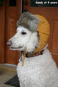 Sandy Winter Wear